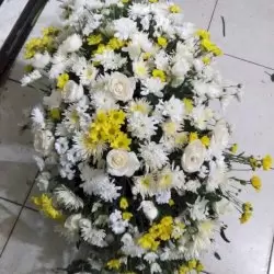 Vas Bunga